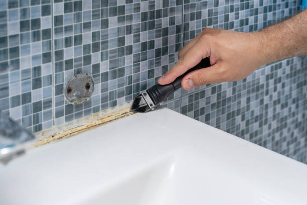 Best Preventive Mold Services in Wmette, IL