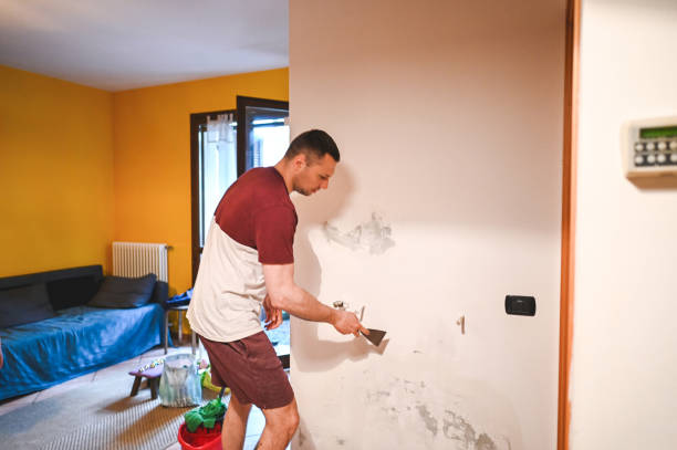 Best HVAC Mold Remediation in Wmette, IL